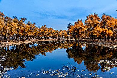 反戏精小哥XSS广告新作 本次主题为《光环：无限》